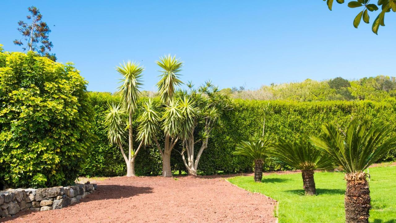 Quinta Do Torcaz Daire Horta  Dış mekan fotoğraf